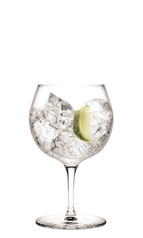 Gin & Tonic 66300 - 1080821